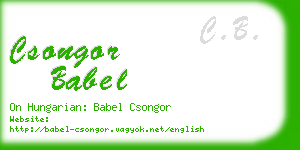 csongor babel business card